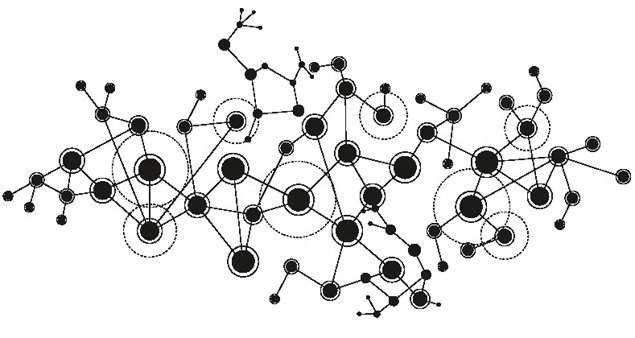 Sammenknyttet i nettverk